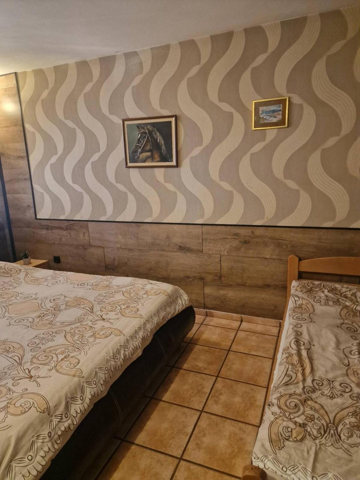 Guest House Maja Novi Sad Buitenkant foto