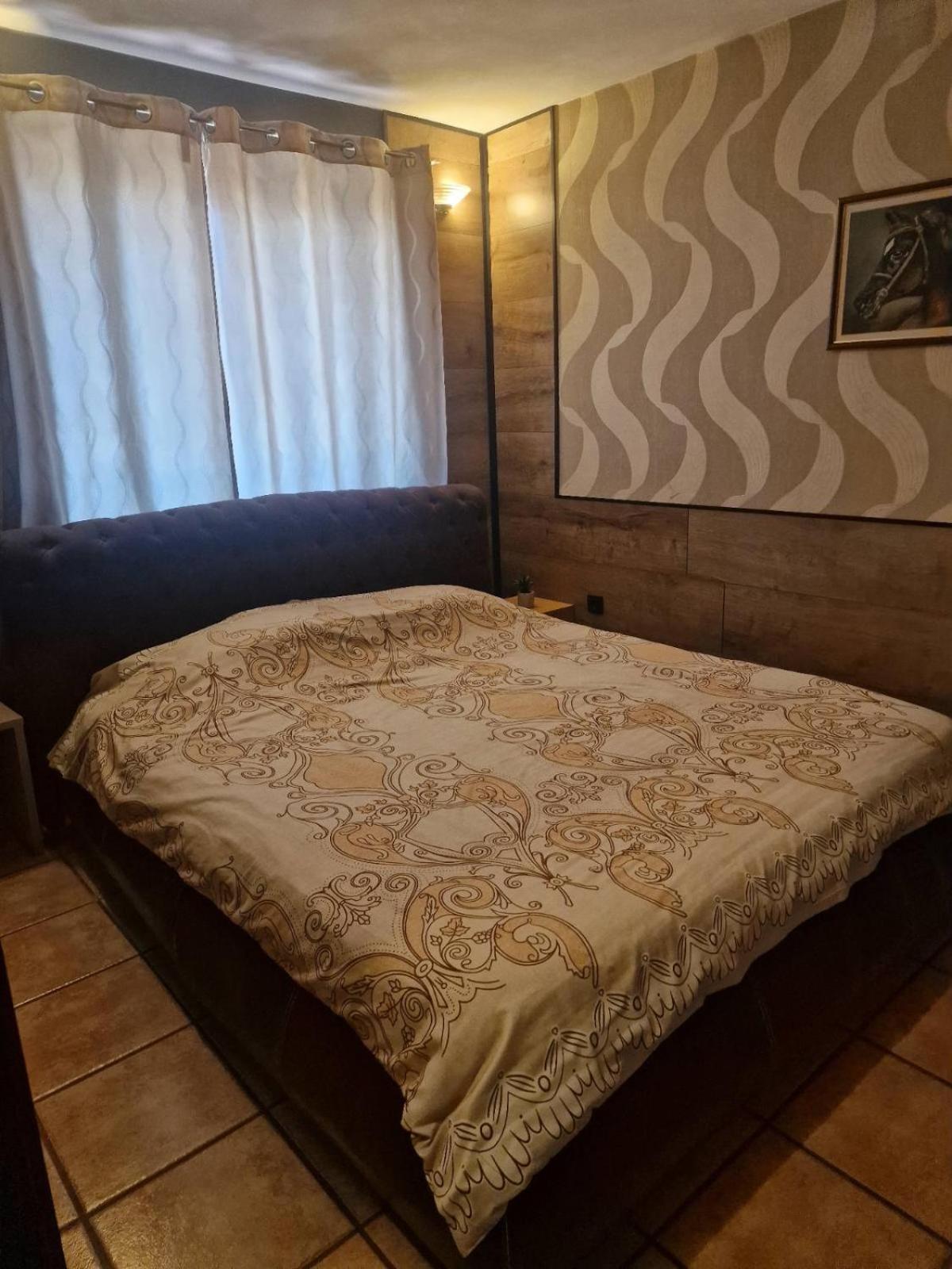Guest House Maja Novi Sad Buitenkant foto